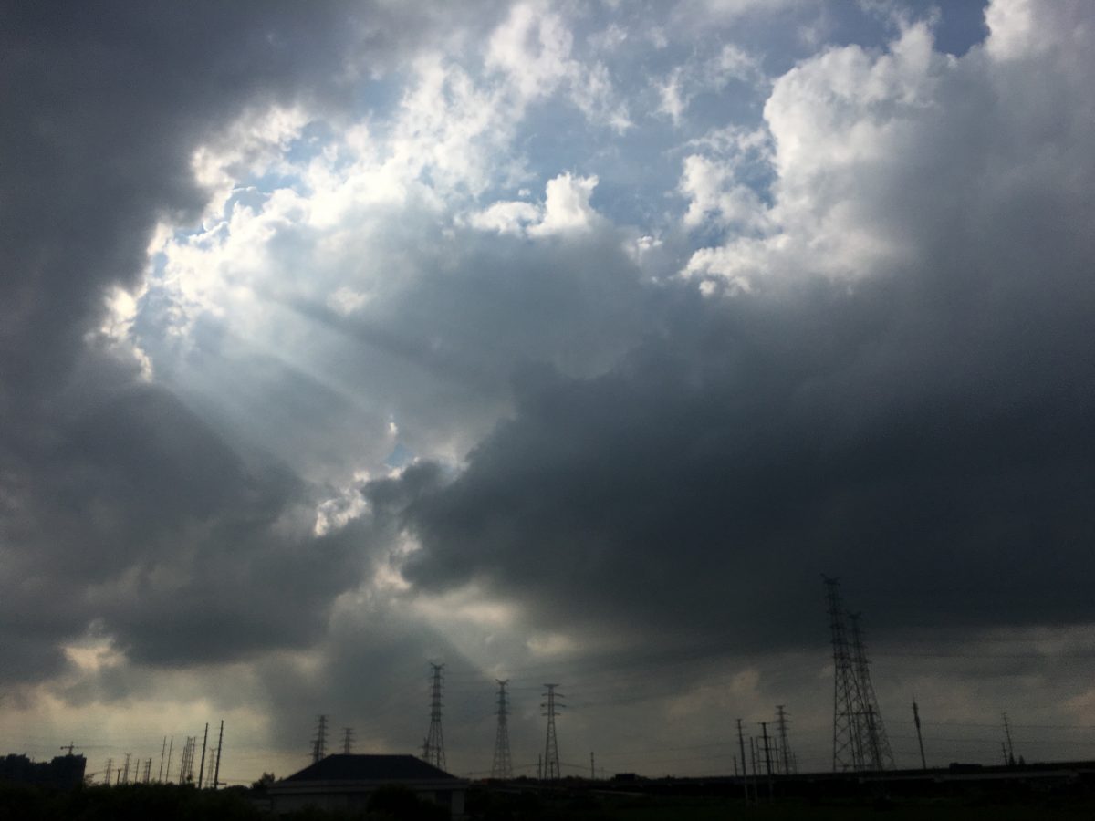 上海·松江·夏日·稻田·云·丁达尔