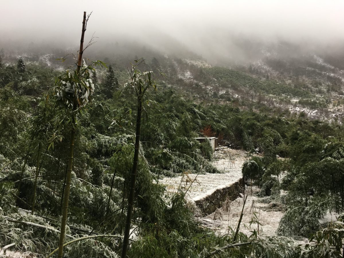 山谷