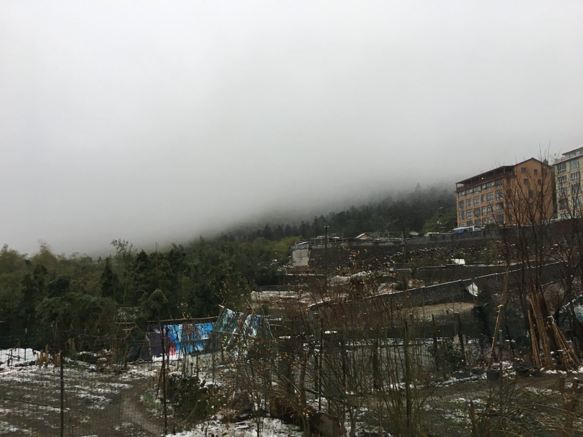 徒步临安天目山