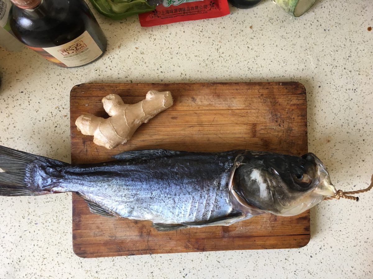 烧菜·做饭·鱼