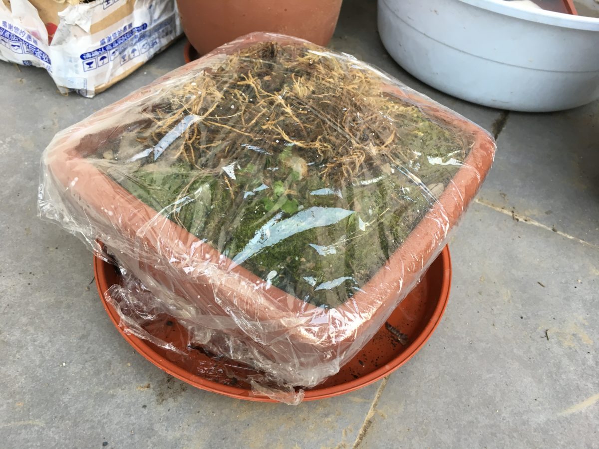 保鲜膜包裹保湿