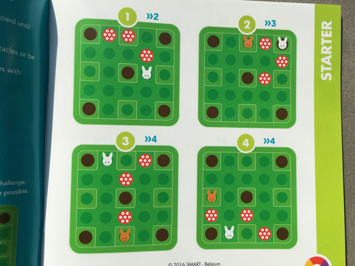SmartGames 关卡