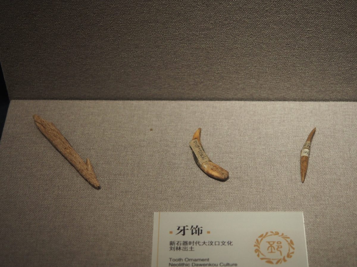刘林遗址·牙饰