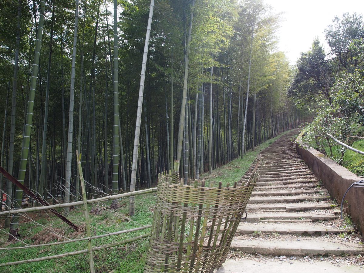 岭下村登山道