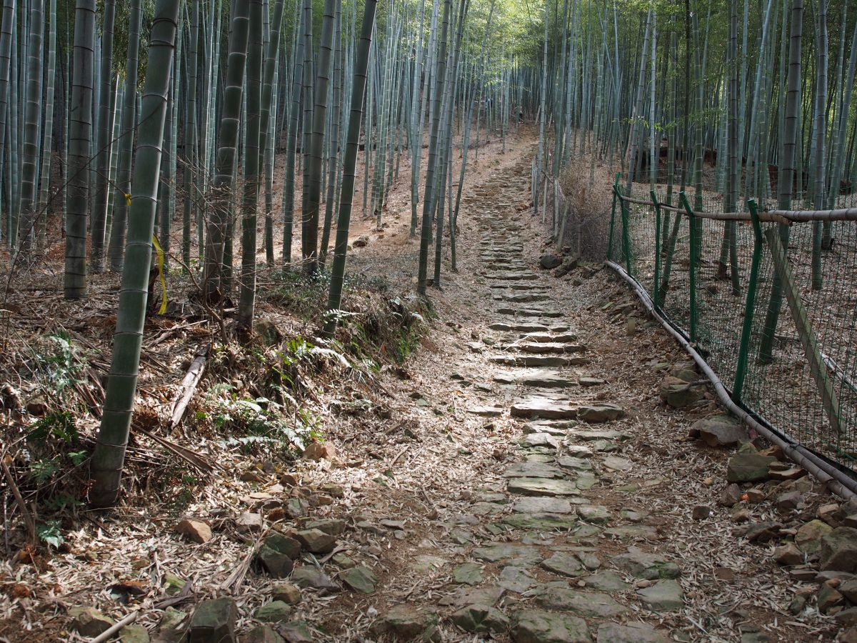 登山道