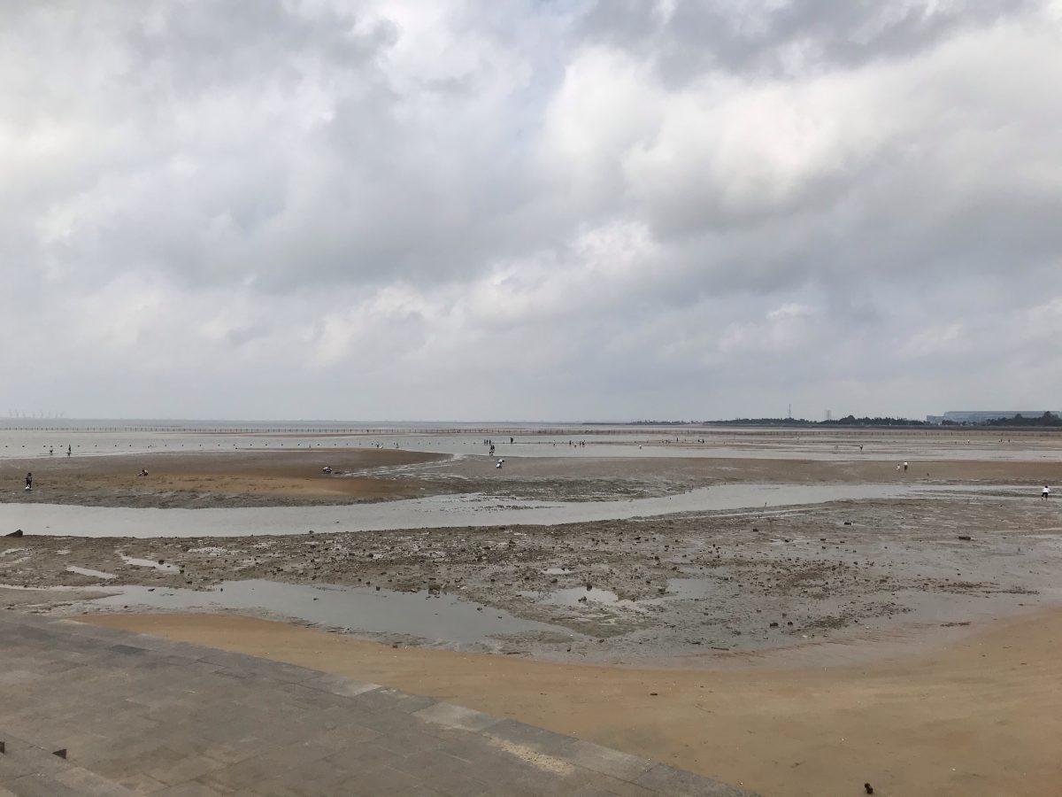 多岛海滩涂