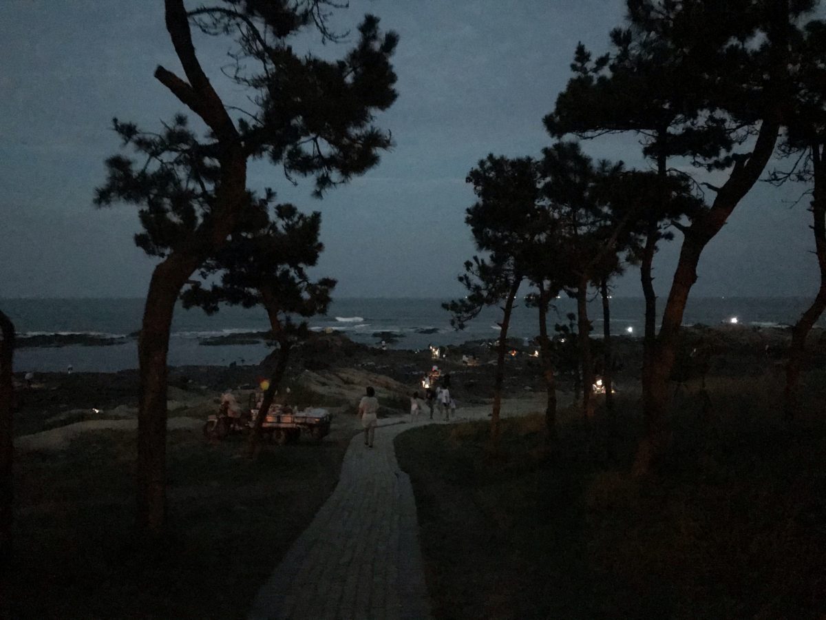 礁石公园赶海