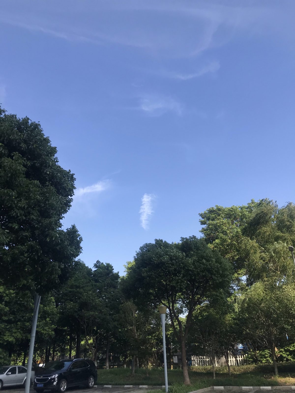 云