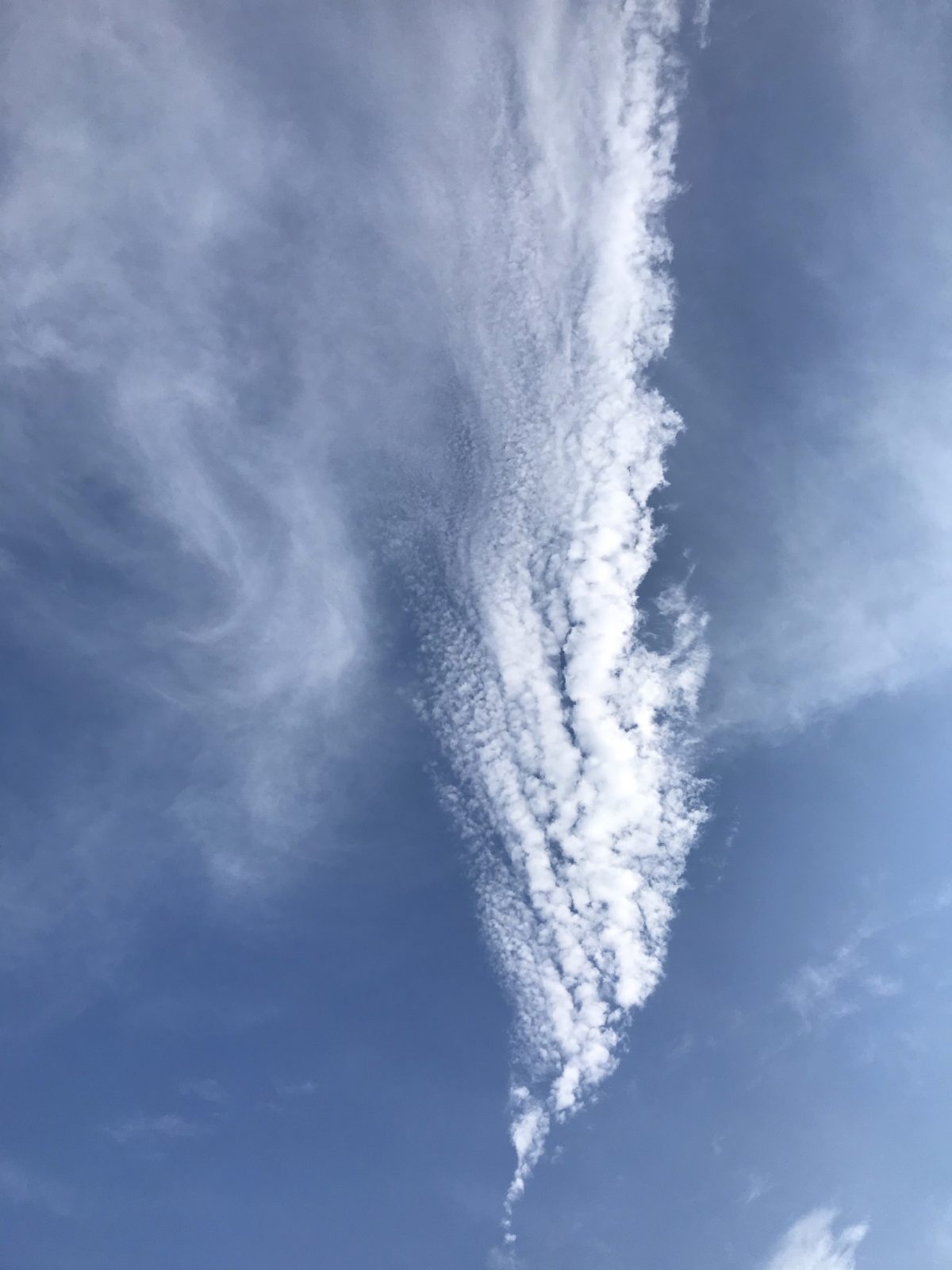 天空飘云