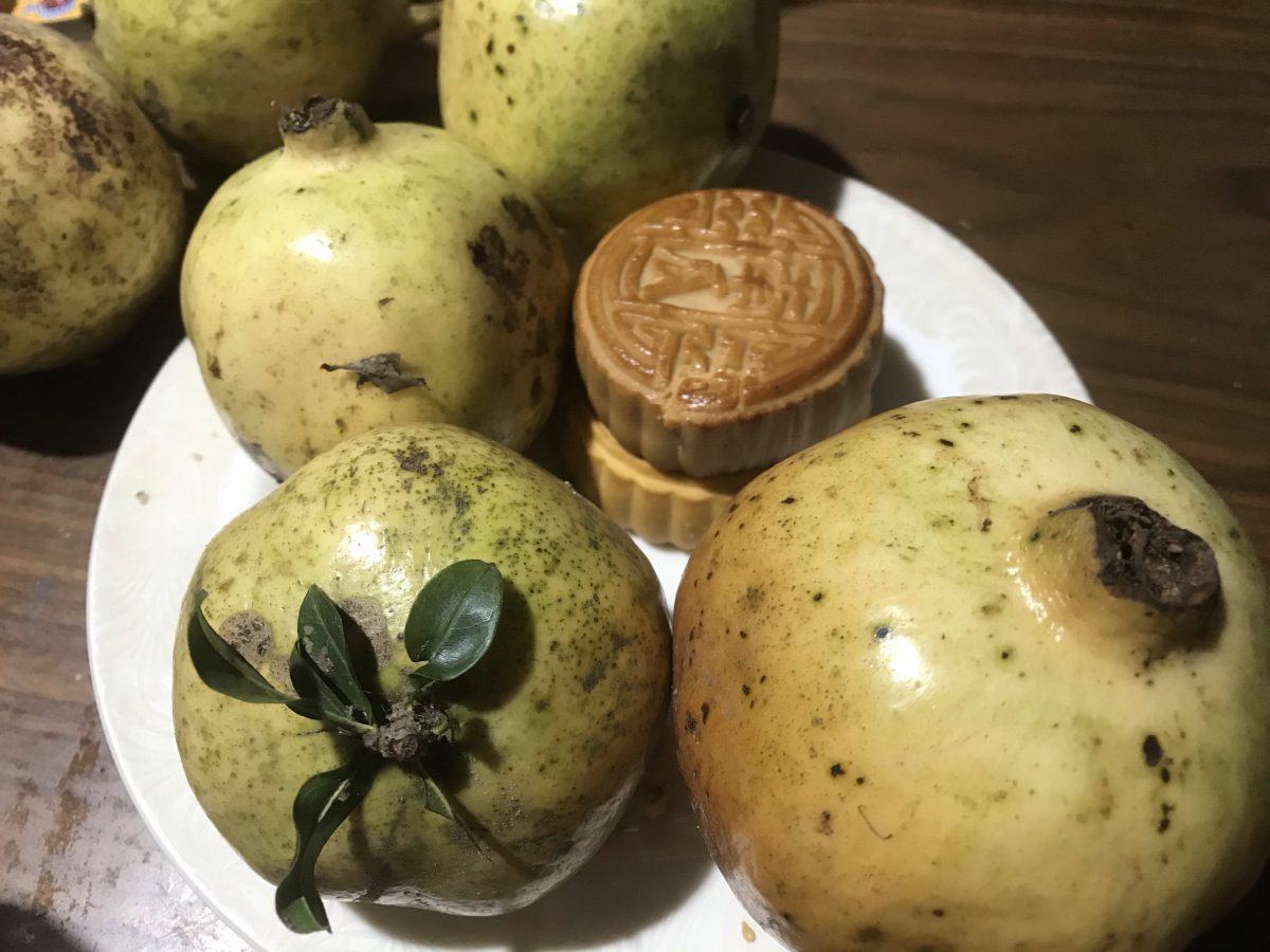 石榴·中秋月饼