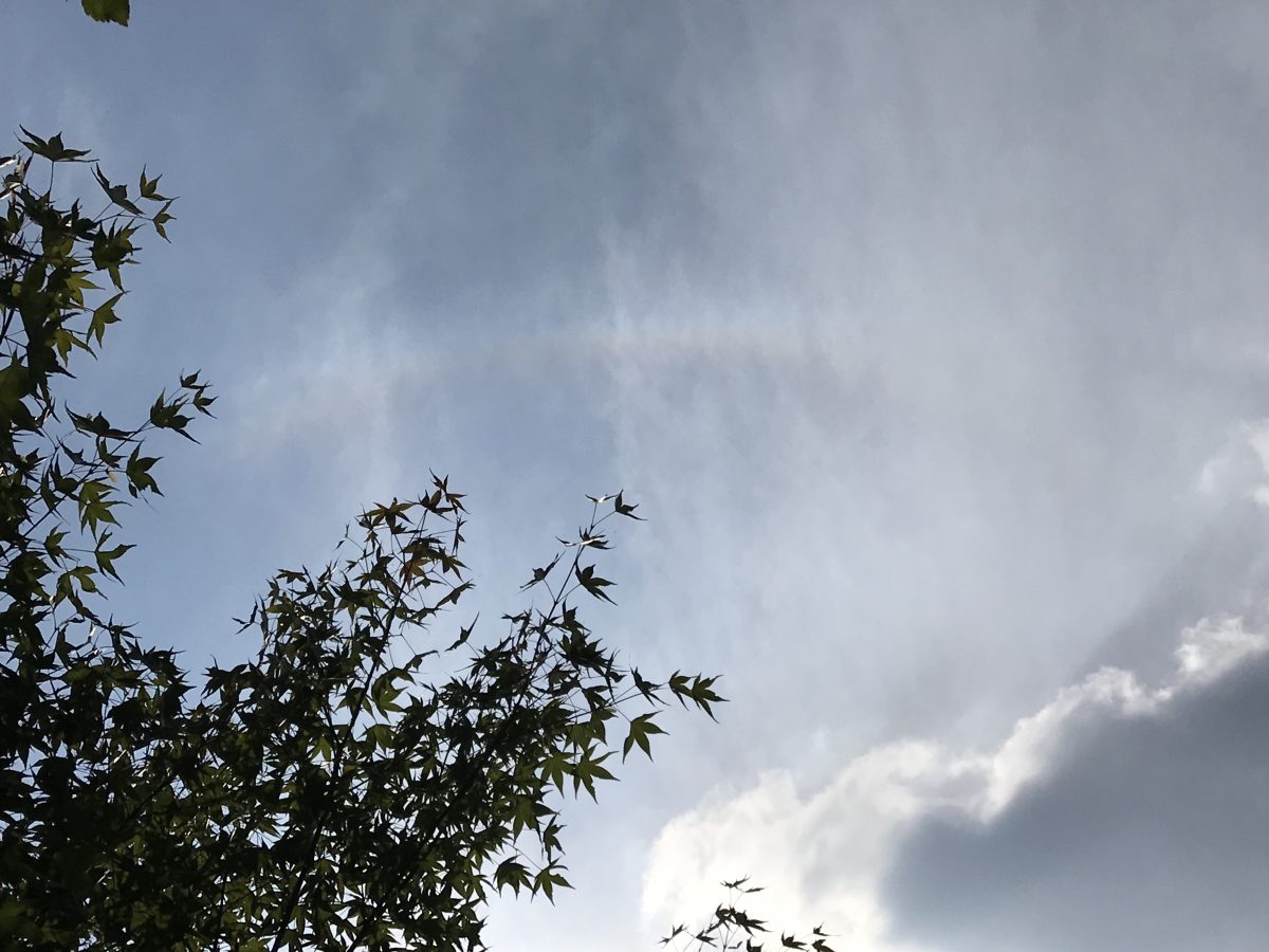 天空·云气·午后阳光·天象·日晕