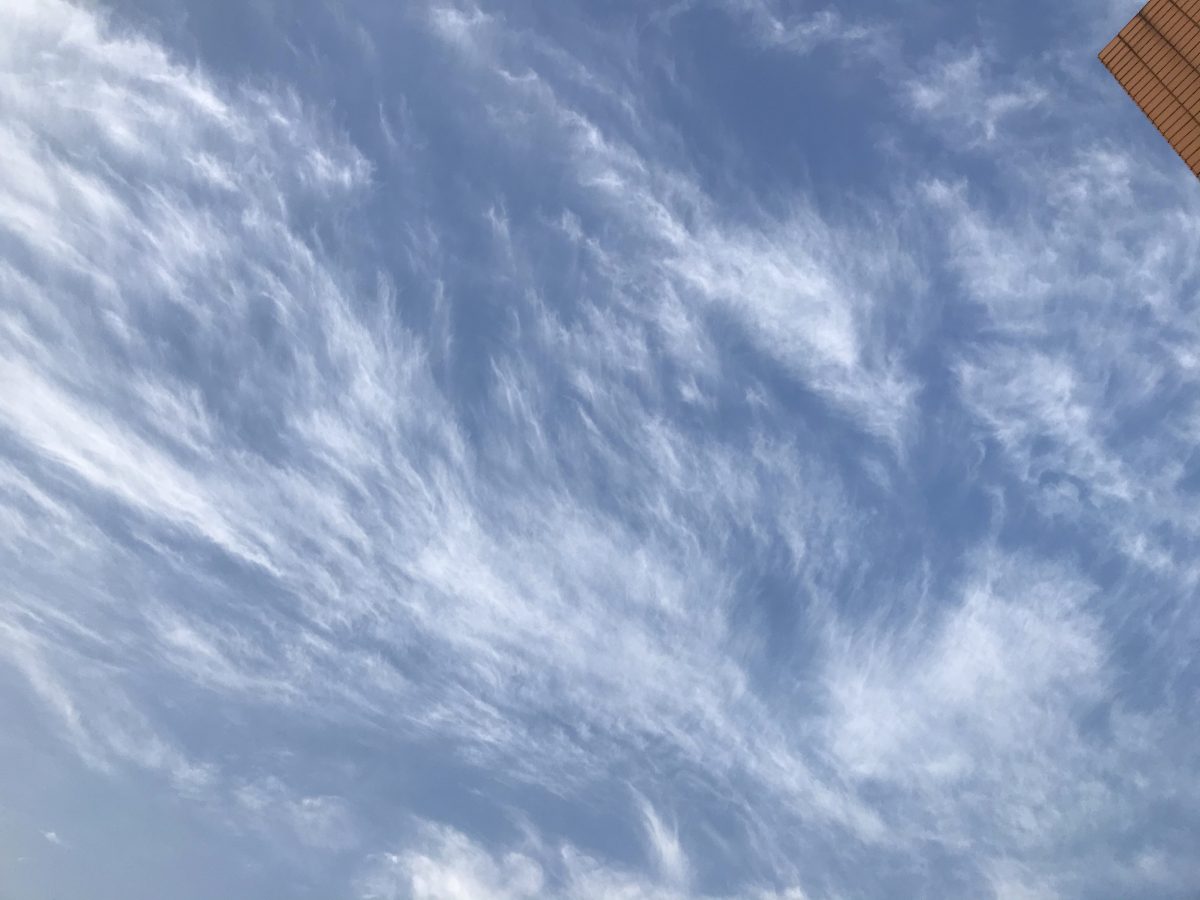 秋季·深秋·清晨·天空·蓝天白云