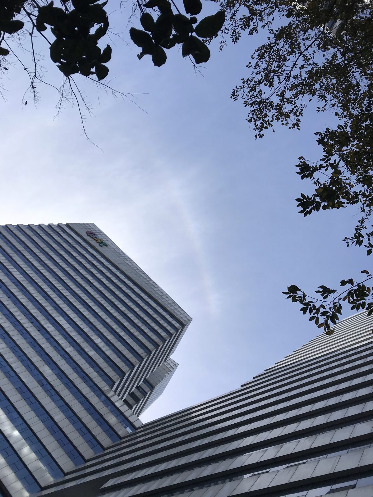 冬季·天空·中午·日晕