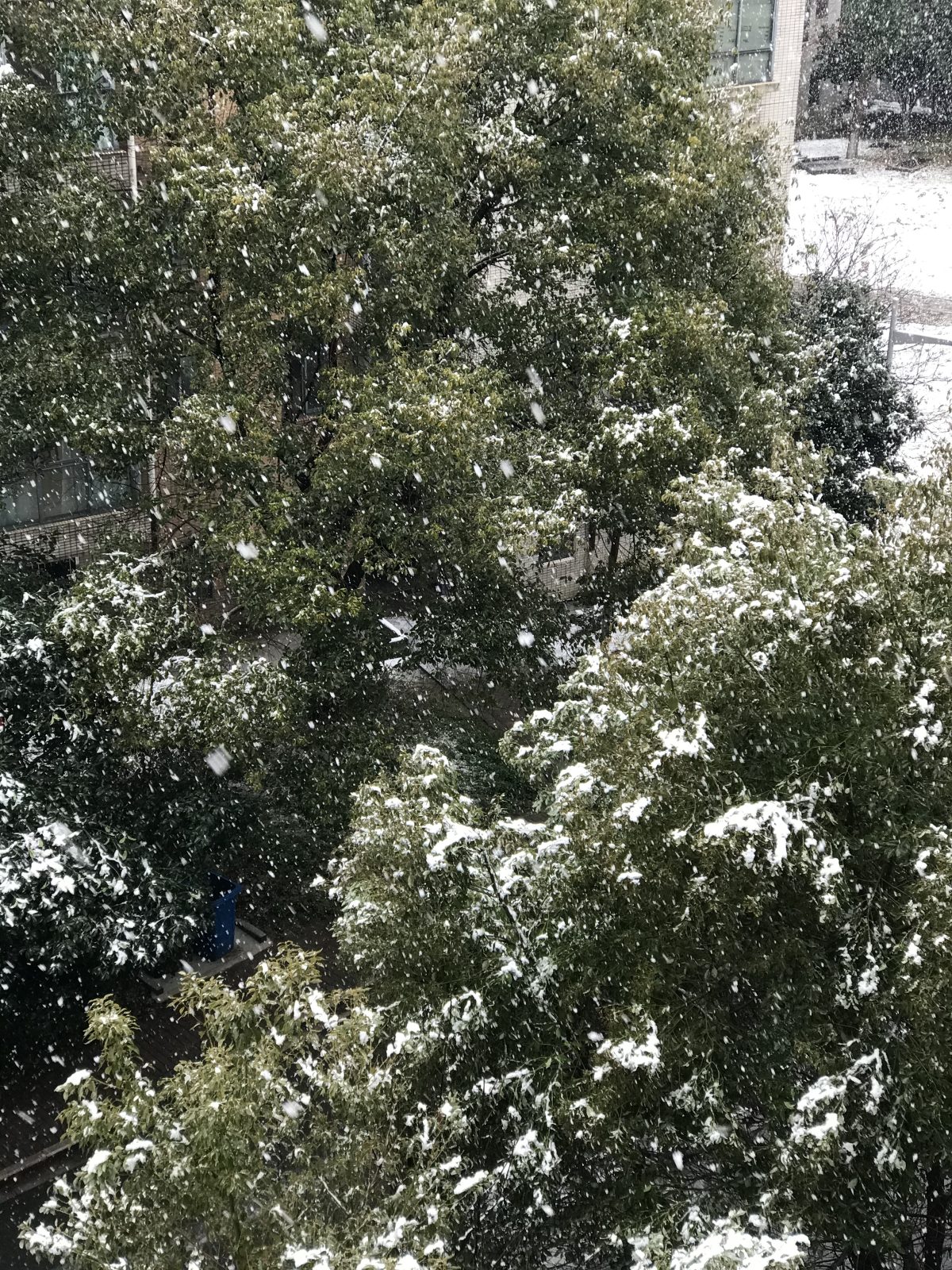初春·大雪·雪景