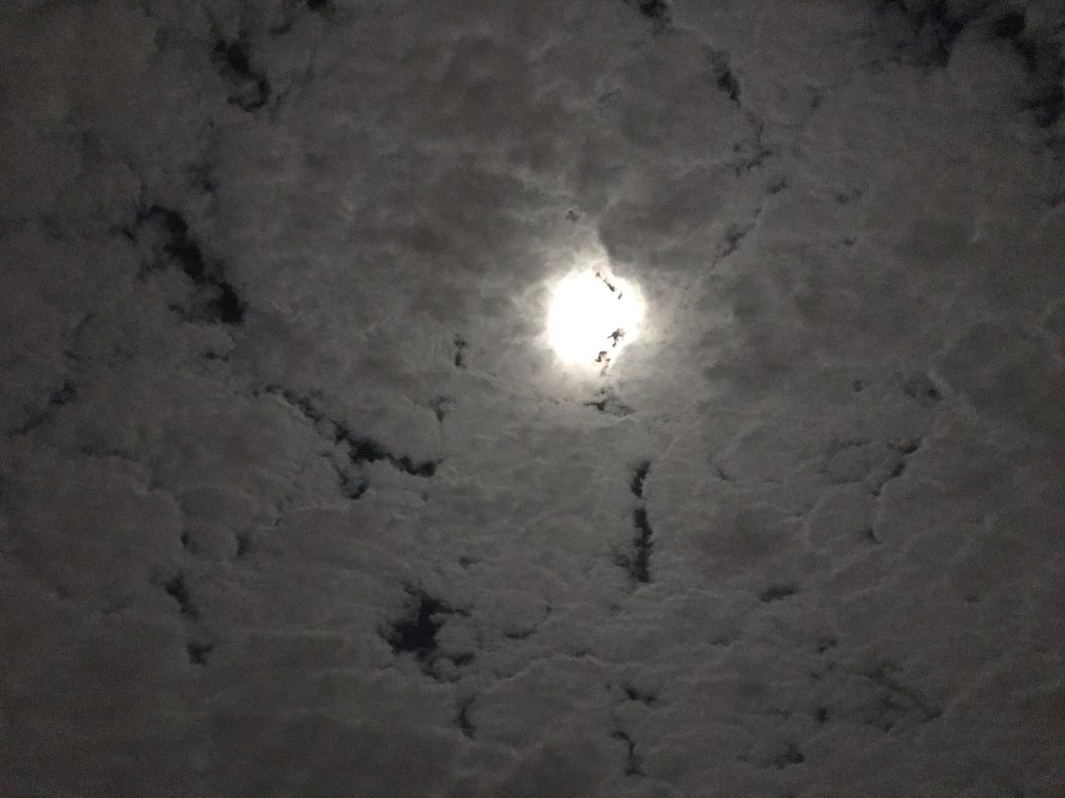 秋季·月夜