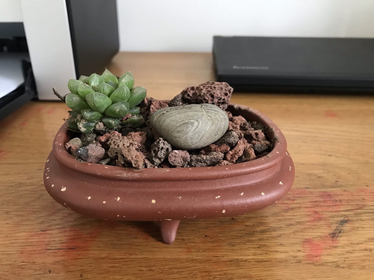 紫砂·花盆