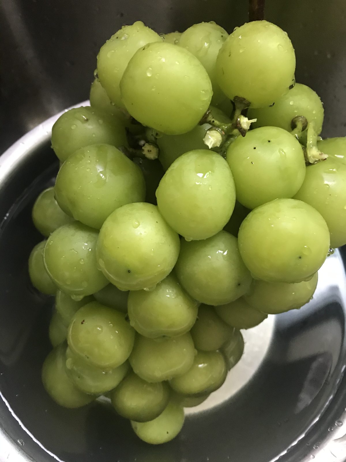 夏季·水果·葡萄·阳光玫瑰